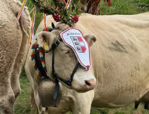 hausregeln-carousel-04-md